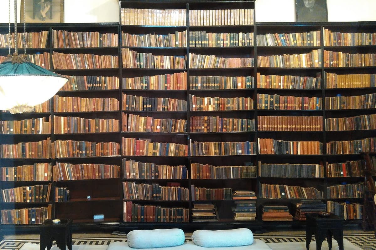Anand Bhavan image 3